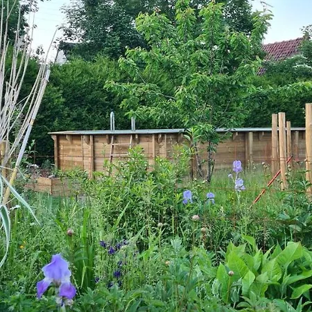 Au Bois Dormant Panzió 3*